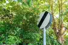 The survey of just over 2,000 UK motorists found that 42% who noticed signs being obscured said this has caused them to accidentally exceed speed limits