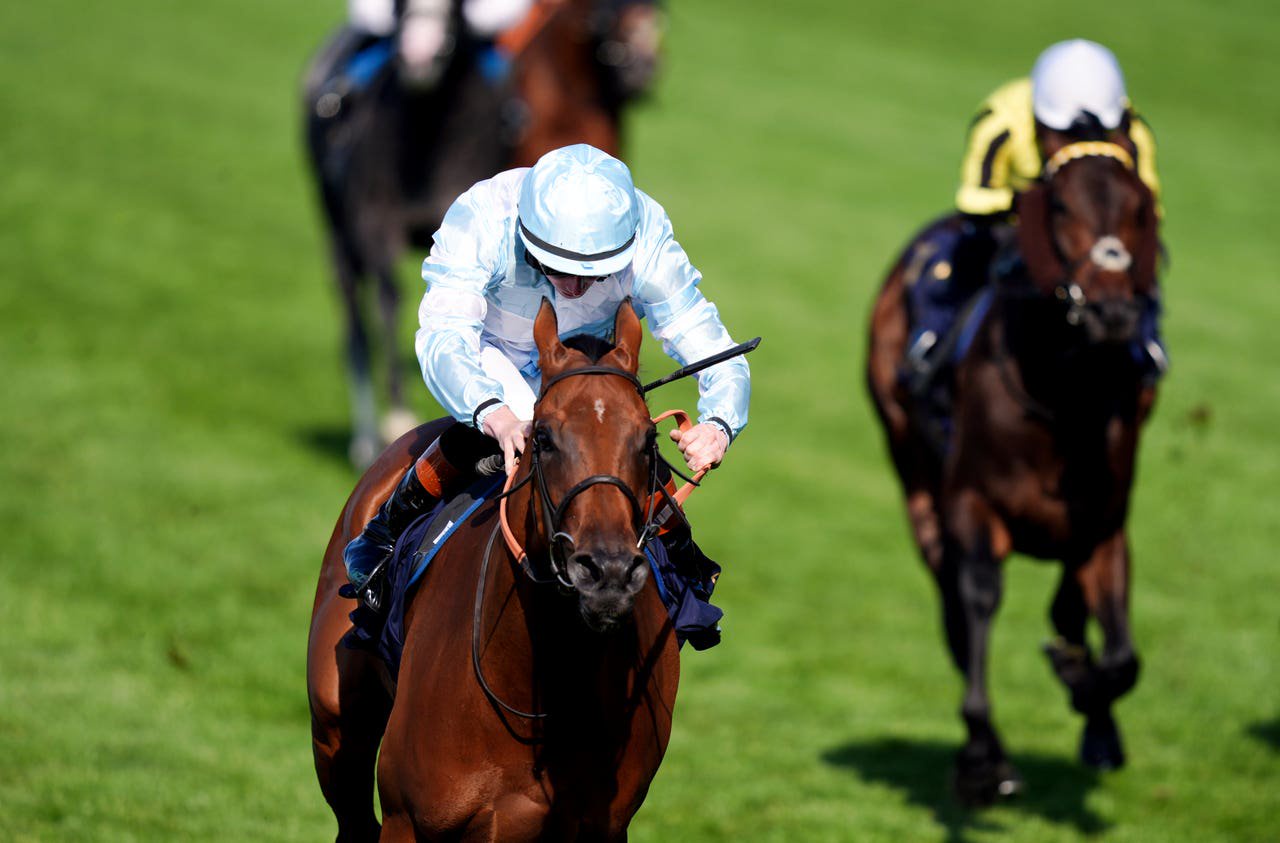 Amiloc is a former Ascot winner