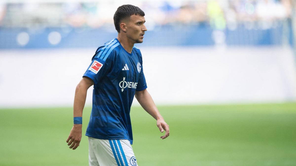 Dejan Ljubicic im Einsatz für den FC Schalke 04