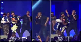 Rick Ross in Lagos: Davido’s bodyguard, fan