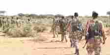 9 al-Shabaab terrorists killed in Somali military operation: Defense Ministry