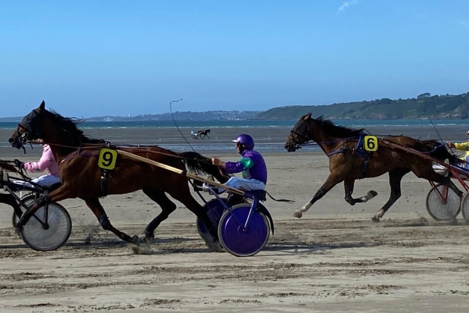 Les courses de galop supprimées, Plestin va se concentrer sur le trot pour préserver sa réunion.