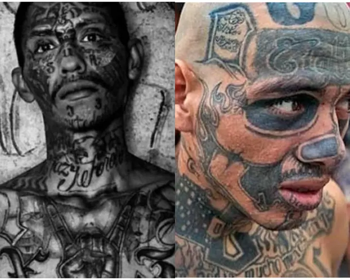 eb07b9eeb51c47b3bd5cfd5df0374266?quality=hq&format=webp&resize=720