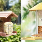 The best bird feeders, according to experts