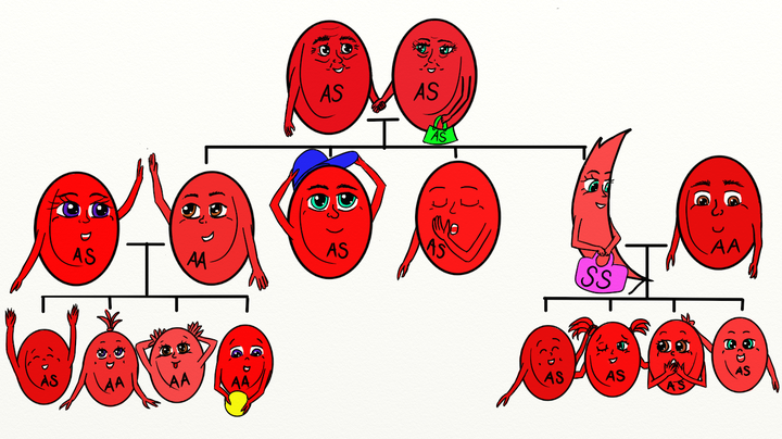 What is SCD? — Sick Cells — Elevating the sickle cell community
