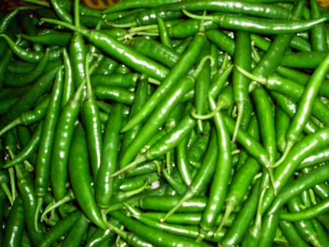 naidunia_image