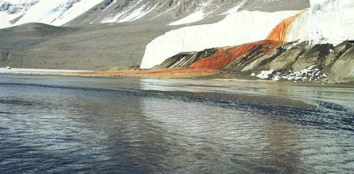 ec177034d76377a8328e4c0026972730?quality=uhq&format=webp&resize=720