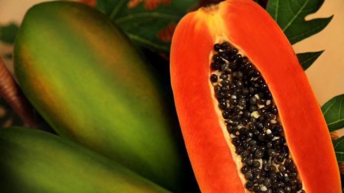 Pepaya merupakan salah satu tumbuhan yang memiliki banyak nutrisi, misalnya vitamin A, vitamin B1, vitamin C, protein, dan kalsium.
