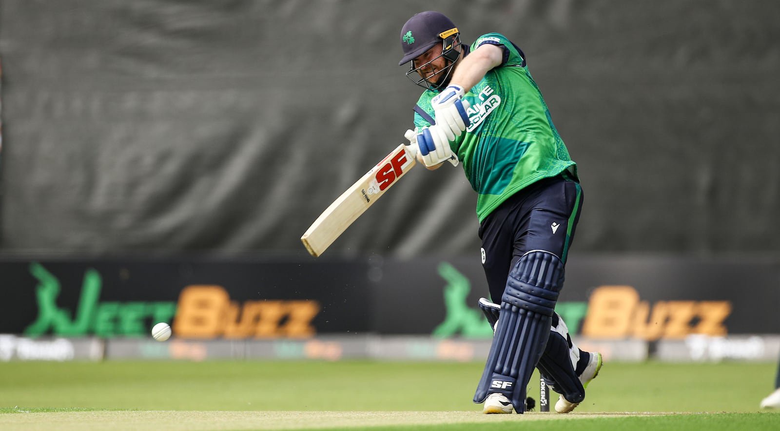 Ireland captain Paul Stirling made a half-century in the win over Namibia in Windhoek. Photograph: Nick Elliott/Inpho