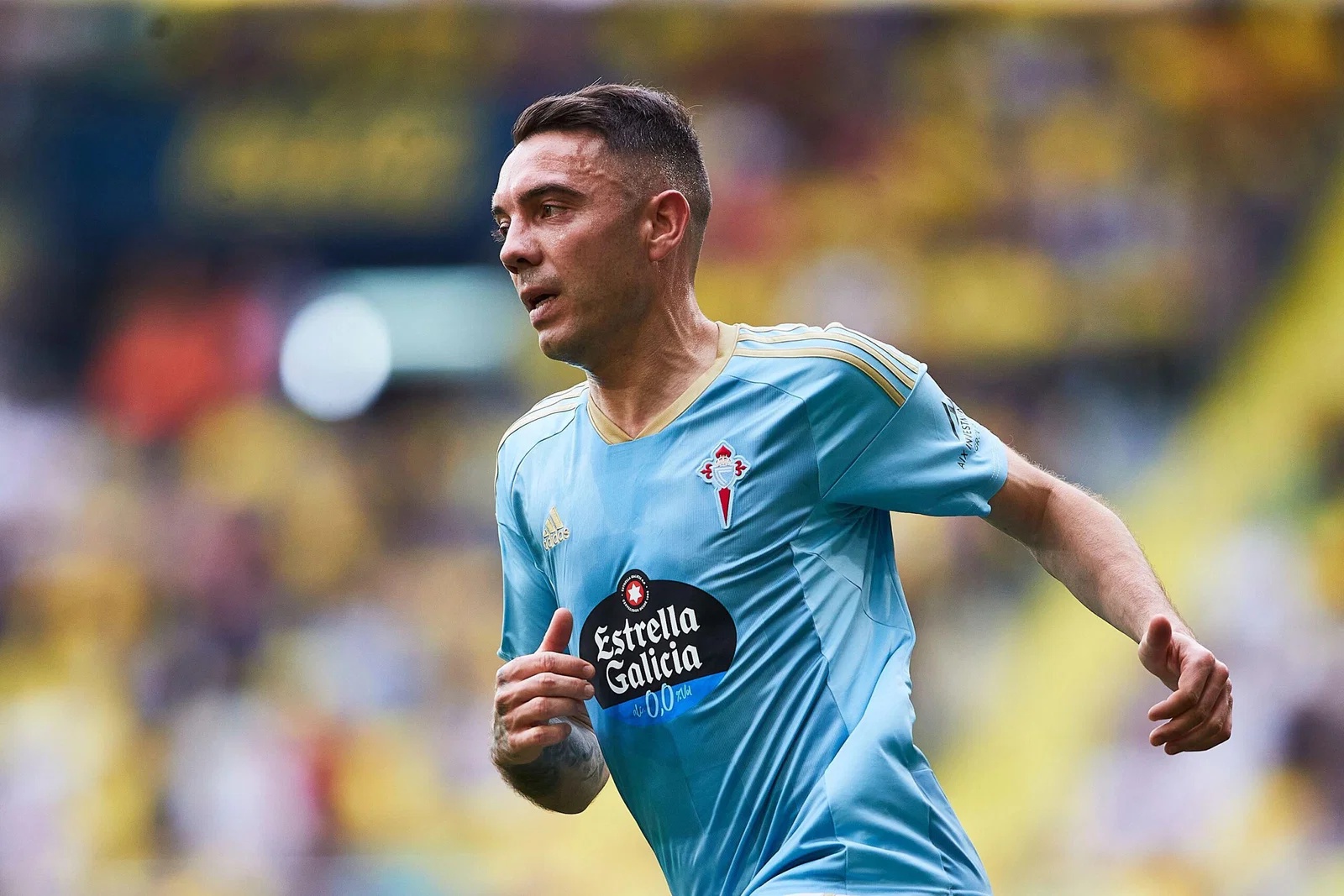 Aspas Celta