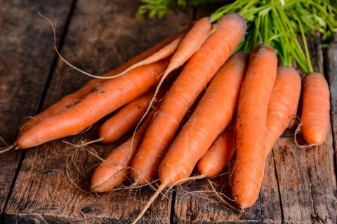 Carrots: Planting, Growing, and Harvesting Carrots at Home | The Old  Farmer's Almanac