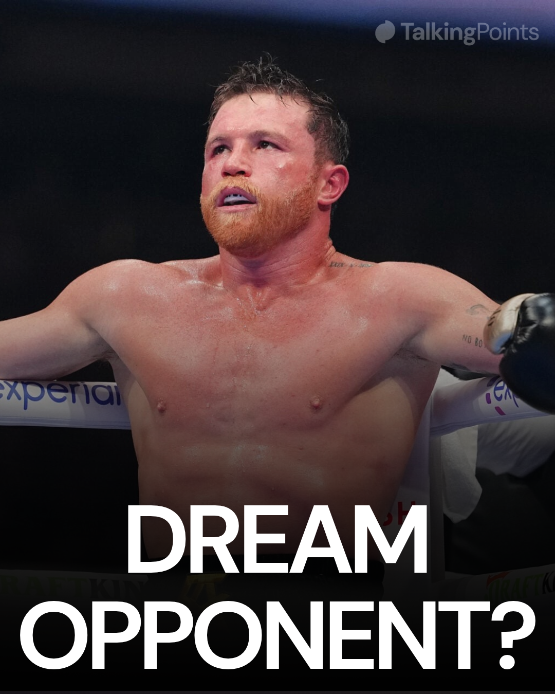 Canelo Alvarez during his fight against Terence Crawford