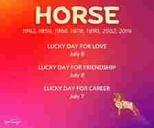 horse july 2024 chinese zodiac horoscope