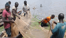 Nigerian fish farmers