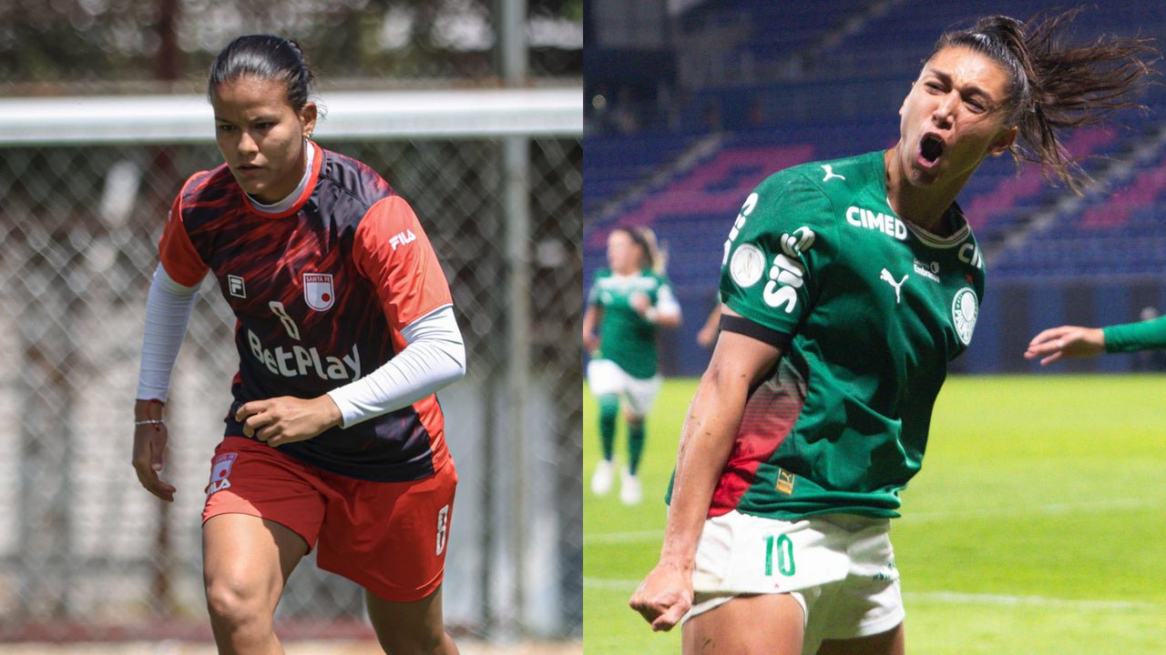 Santa fe vs palmeiras en vivo