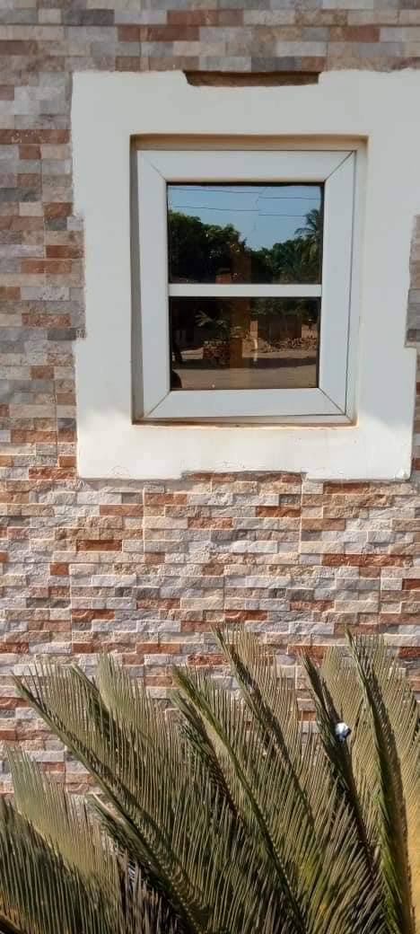 Image may contain: plant and outdoor