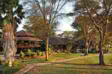 Ol Tukai Lodge is one of the best lodges in Amboseli National Park for families 