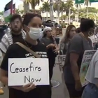 Pro-Palestinian Agitators Attempting to Block Miami Road Find Out Things Are Different in Florida