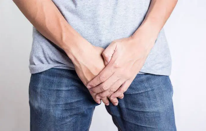 Signs That Your Male Reproductive Organ Healthy