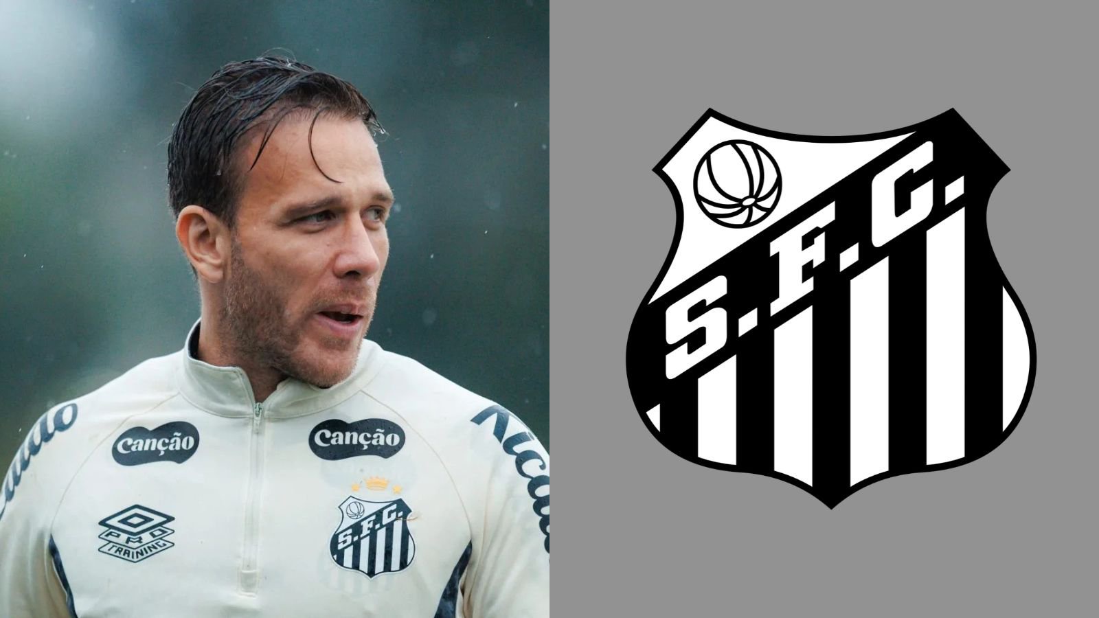 Foto: Raul Baretta / Santos FC)
