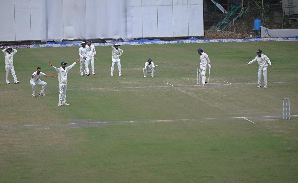J&K lower-order stood strong.