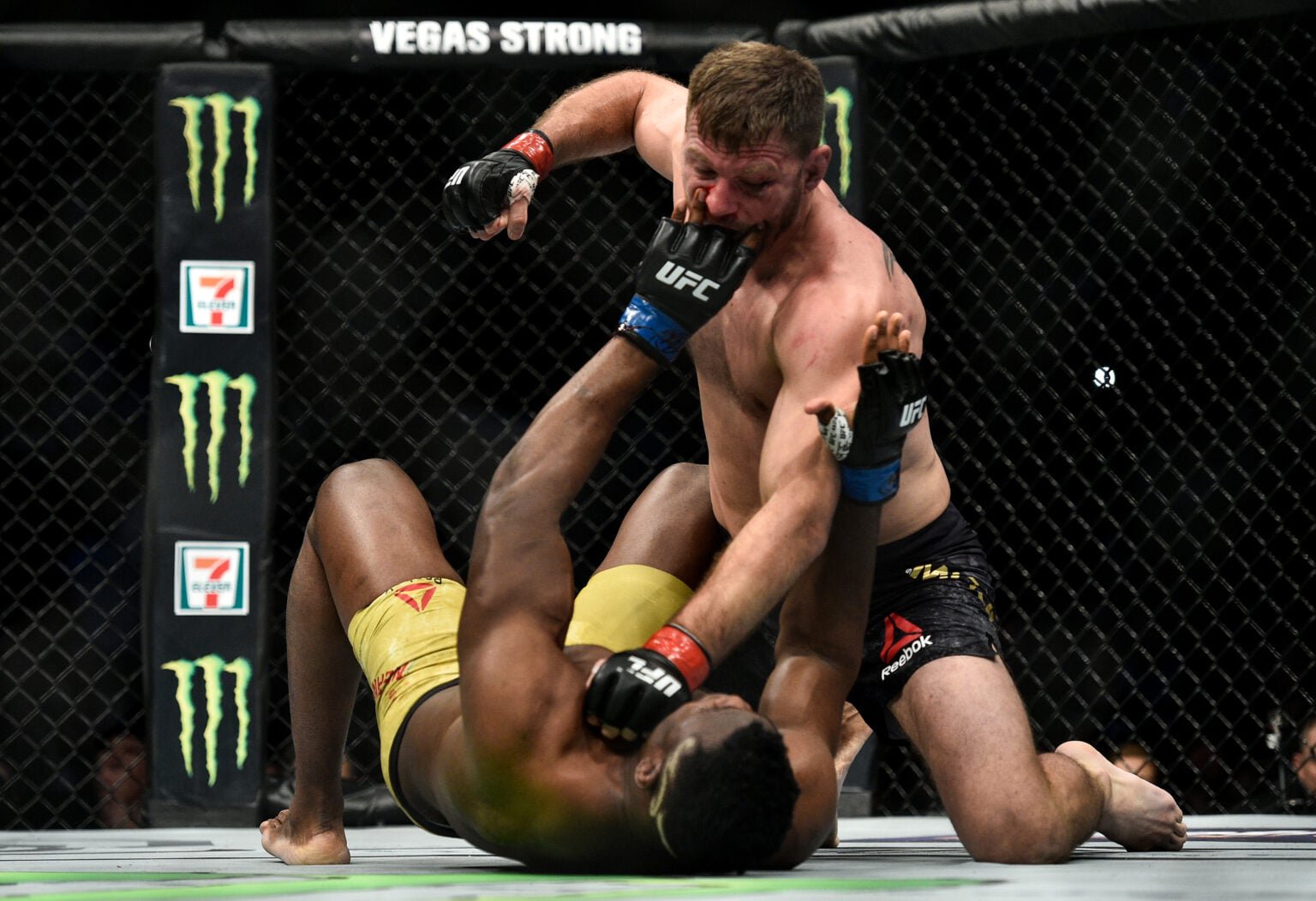 Stipe Miocic punches Francis Ngannou on the ground during their fight at UFC 220