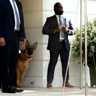 White House says it’s disturbing that Kristi Noem thinks Biden’s dog should be shot and killed
