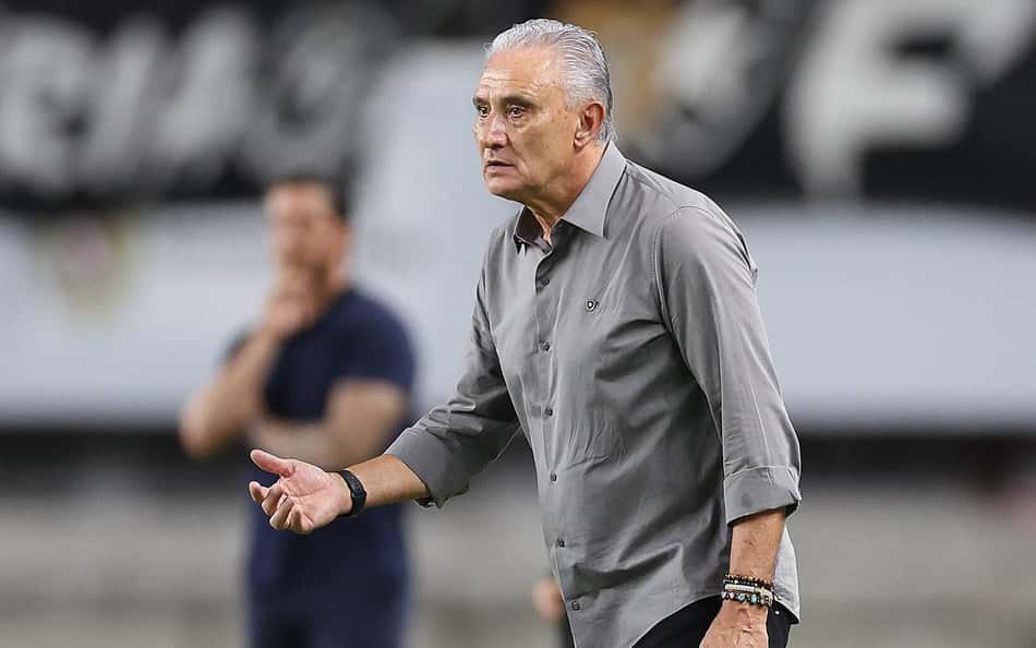 Tite, técnico do Botafogo