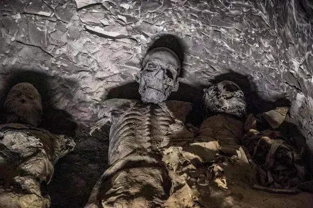 Skeletons were found in the gruesome discovery