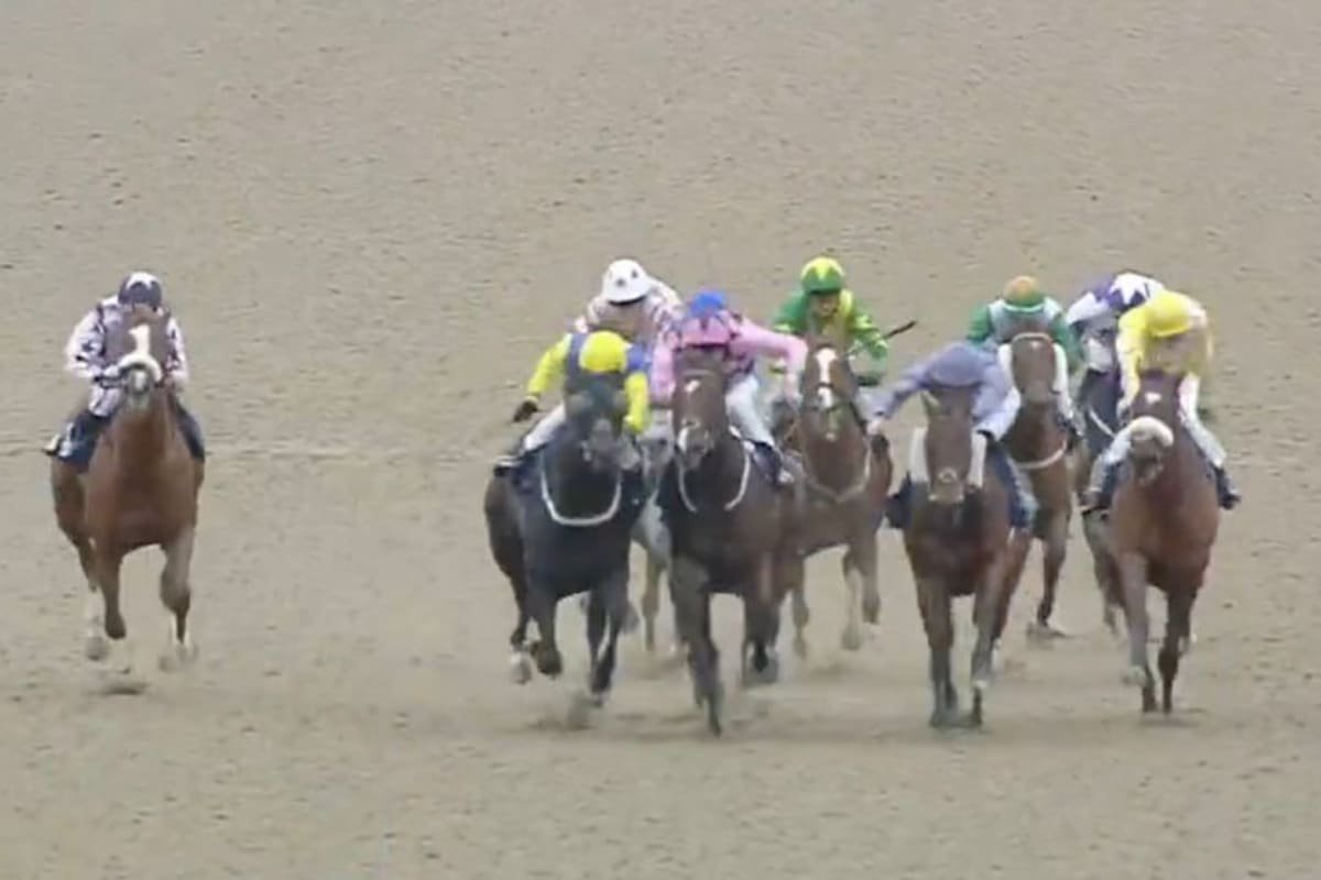 Billy Loughnane was given a two-day ban for careless riding at Wolverhampton after his winner, Yehudi, bumped runner-up Palliser