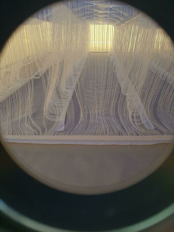 Foto Unik da Aneh di dunia