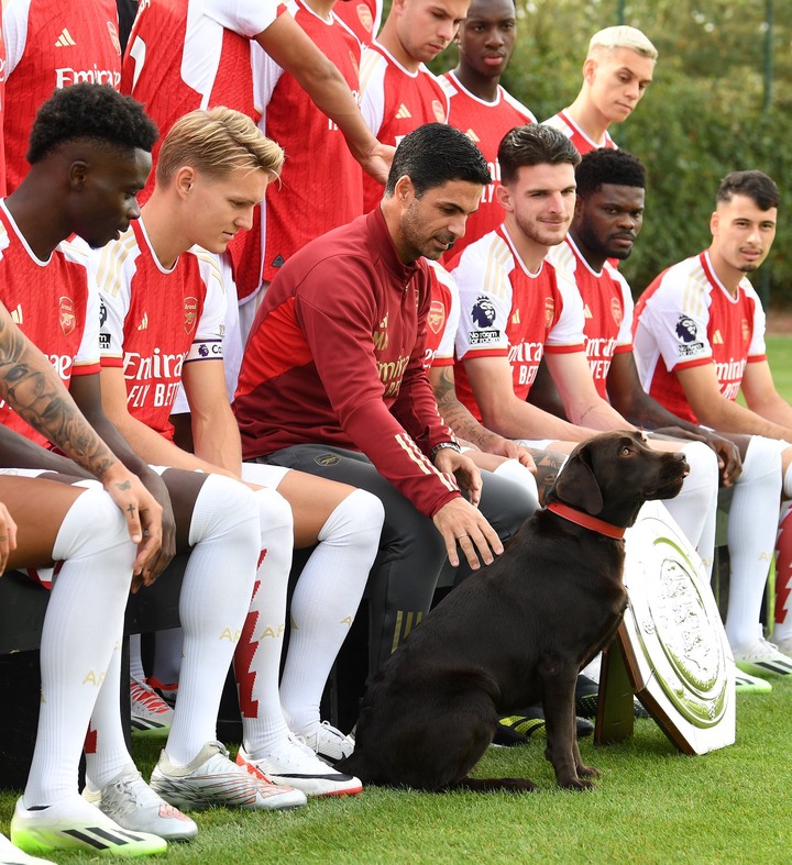 Win the dog is loved by Arsenal fans