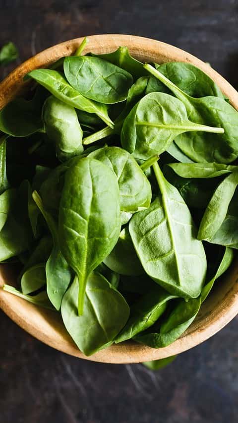 Basil
