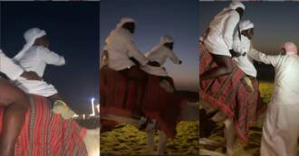 I want to get down - 'Fearo' Shatta Bandle screams as he goes on camel ride in Dubai (video)