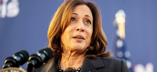 Hip-hop magazine calls Kamala Harris' 'pandering' attempt at voter appeal on BET Awards 'unflinchingly corny'