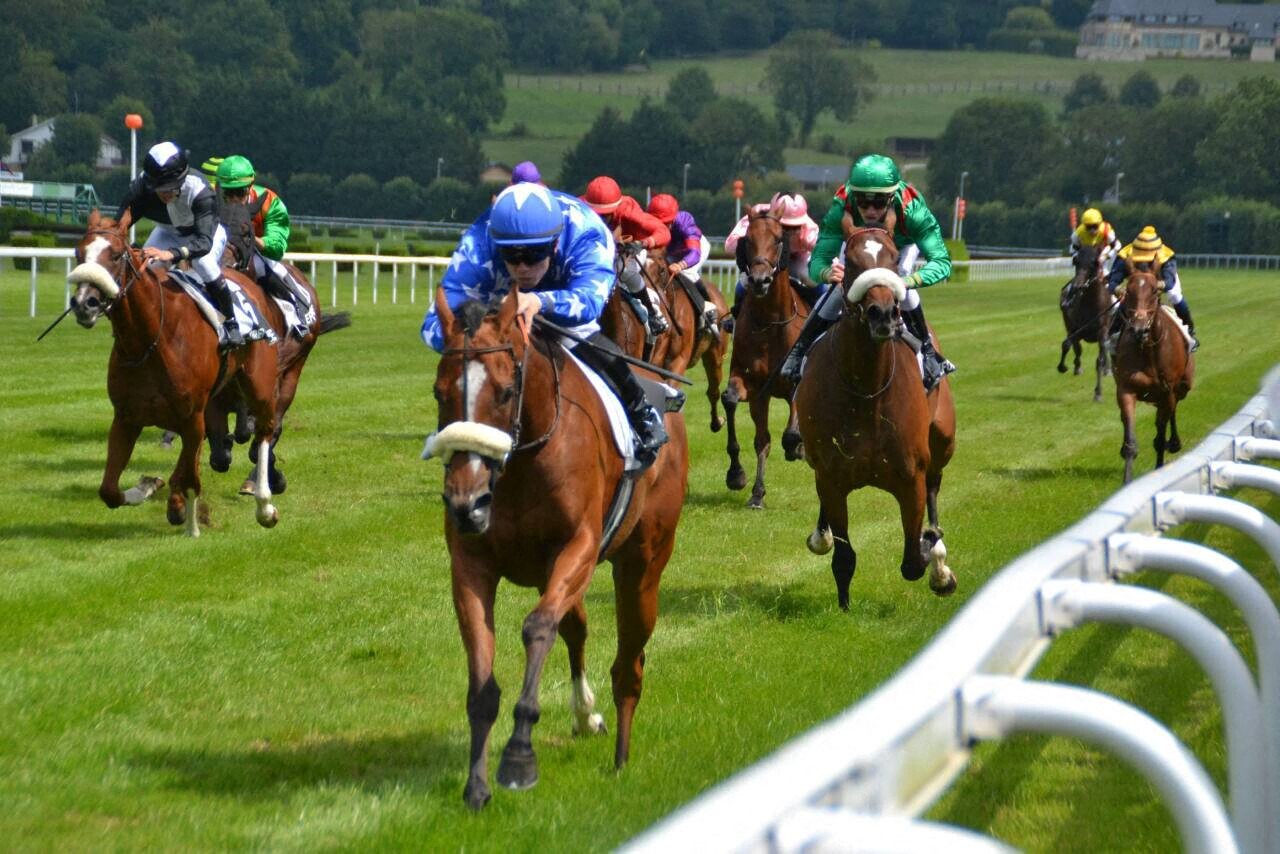 Les courses hippiques de la société des courses du pays d’Argentan sont déplacées à Deauville, le jeudi 25 juin.