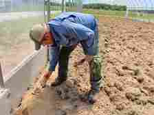 Paulk crouches over dug-up tools on the farm.