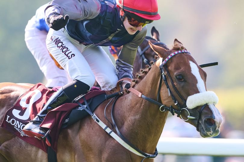 Miss Yechance: won the Prix de l'Abbaye at Longchamp