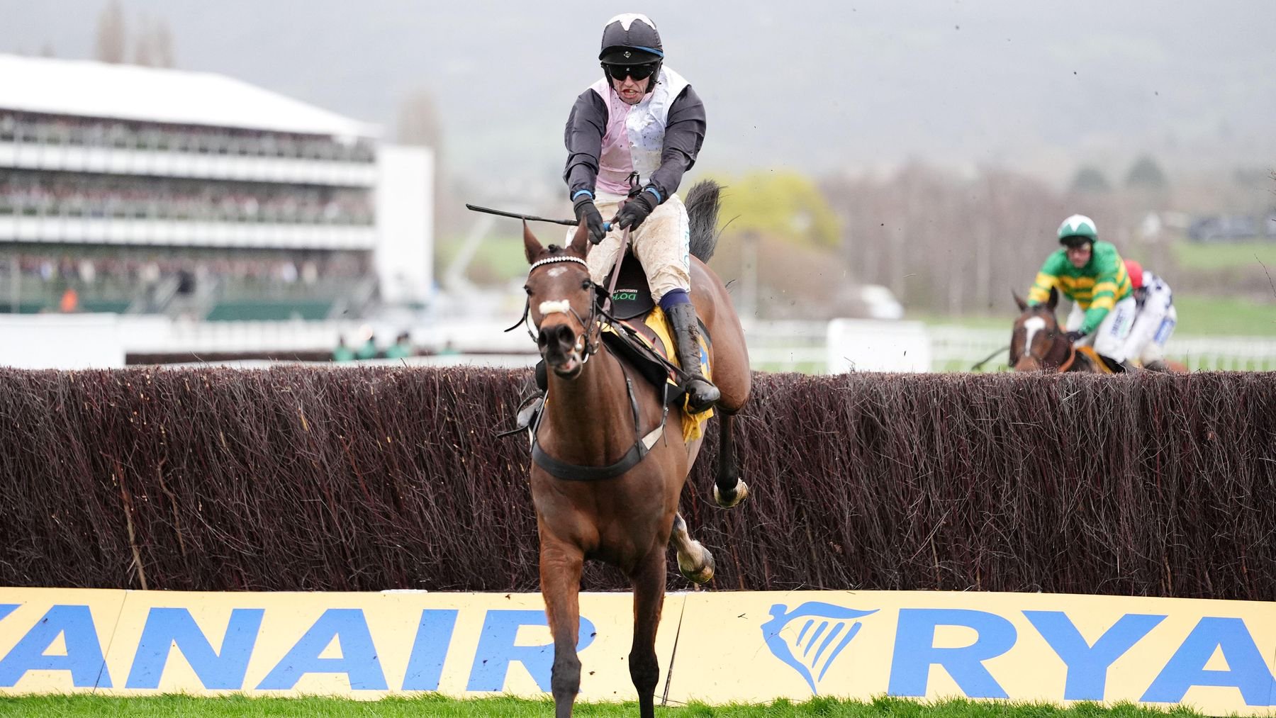 Heart Wood wins the Ryanair