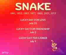 snake july 2024 chinese zodiac horoscope