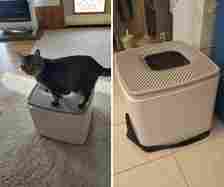 This round Top Entry Cat Litter Box Gives Your Cat The Mess-Free Private Experience They Deserve