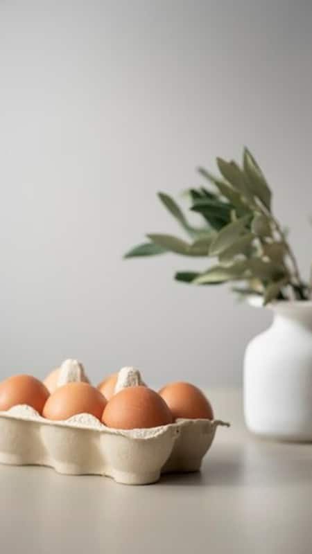Eggs: Eggs are highly-nutritious food sources that are good source if vitamin D also.