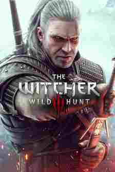 The Witcher Wild Hunt Poster