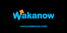 Is Wakanow Travel Agency Legit?