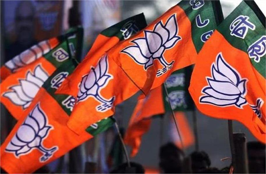 organizational expansion will start again in bjp