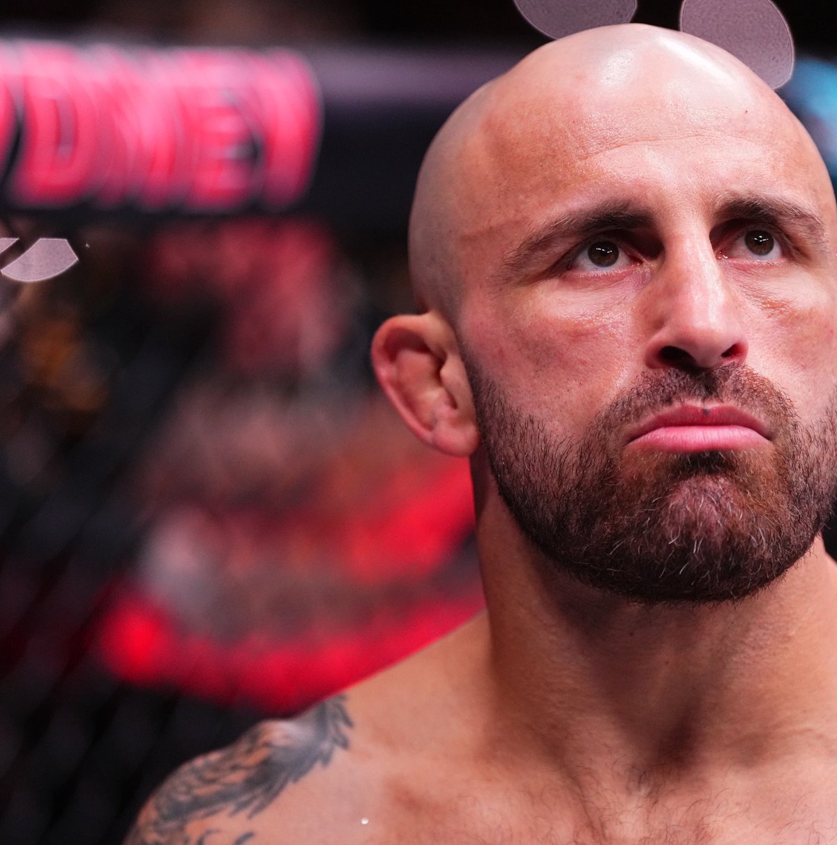 White Open To Volk Vs. Gaethje Superfight
