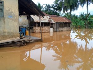 Floods Hit Kyebi, Akwatia, 1000 Residents Displaced - DailyGuide Network