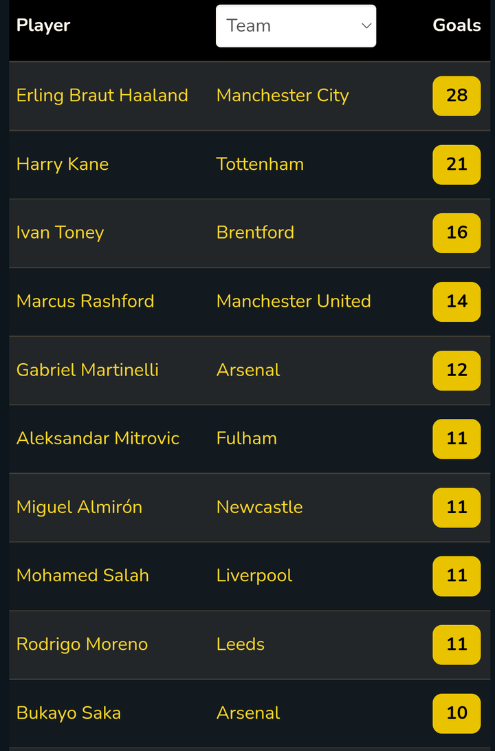 Premier League Highest Goalscorers As Haaland And Harry Kane Score More Than 20 Goals Each