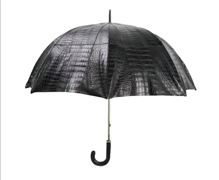 Check Most Expensive Umbrellas World. That Worth More Than Brand Series Sedan
