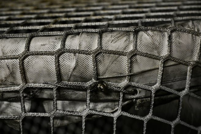 Lévis hockey coach stripped of bench duties after petition